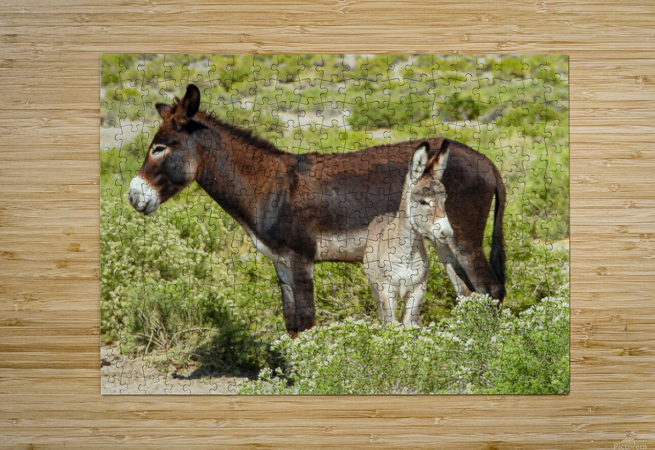 Marietta Wild Burro Range HMA 1 ImagesbyMJRoss Puzzle printing