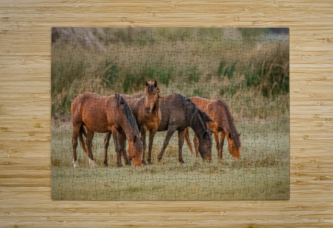 Nevada wild  Series VR1 1 ImagesbyMJRoss Puzzle printing