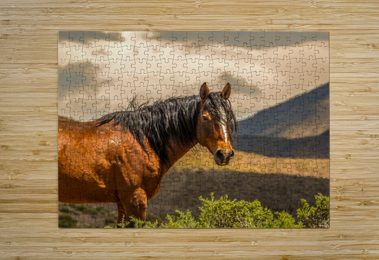 Nevada Mustang Series 16 1 ImagesbyMJRoss Puzzle printing