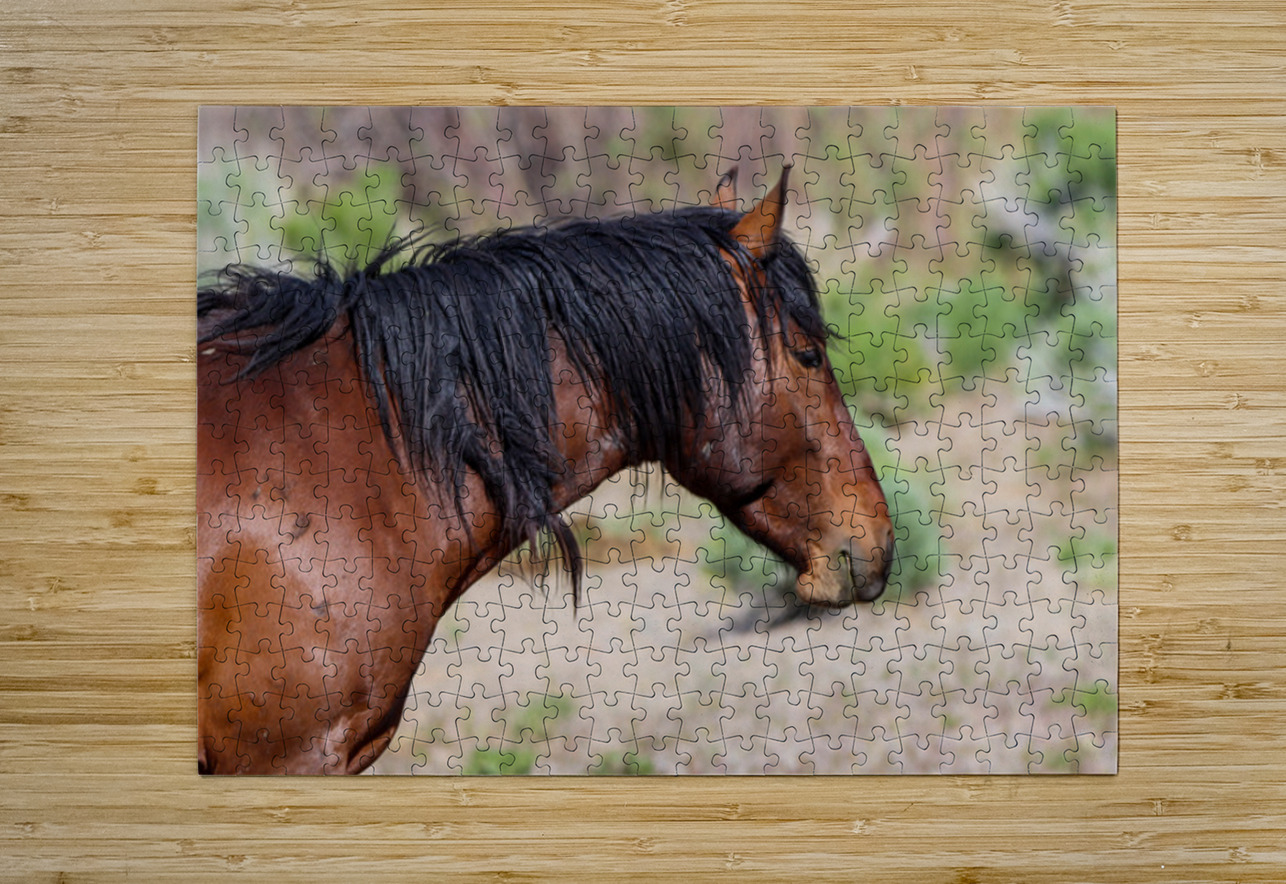 Nevada Mustang 2 4 ImagesbyMJRoss Puzzle printing