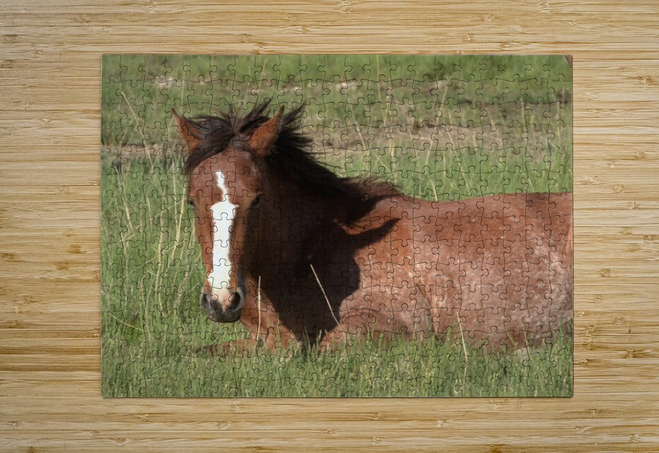 Nevada Wild 16 1 ImagesbyMJRoss Puzzle printing