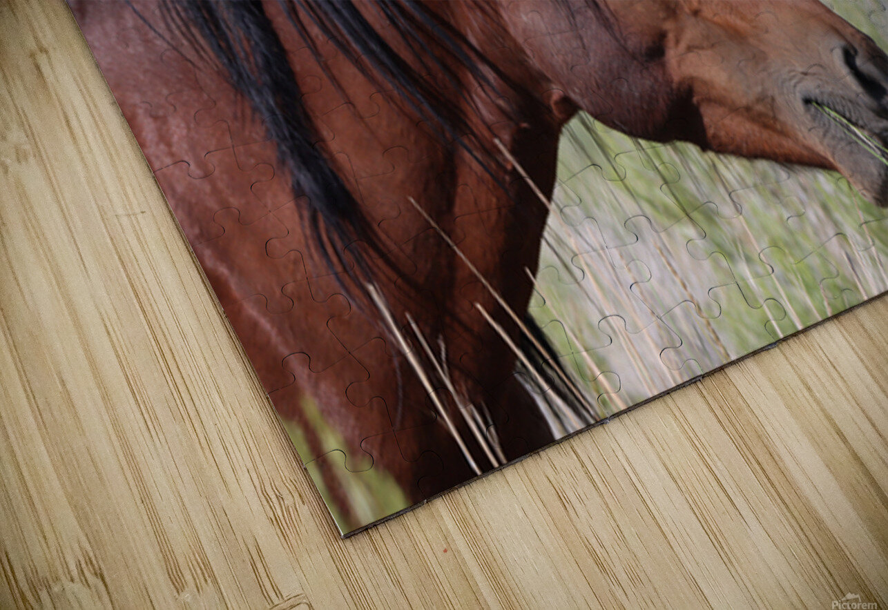 Nevada Virginia Range Series 1 ImagesbyMJRoss Puzzle