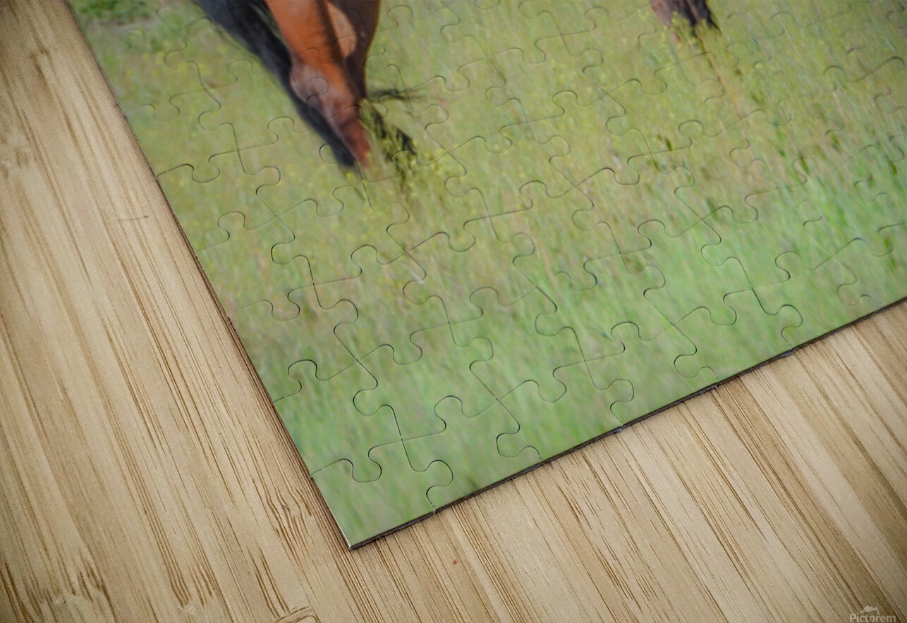 Nevada Virginia Range Series 8 ImagesbyMJRoss Puzzle