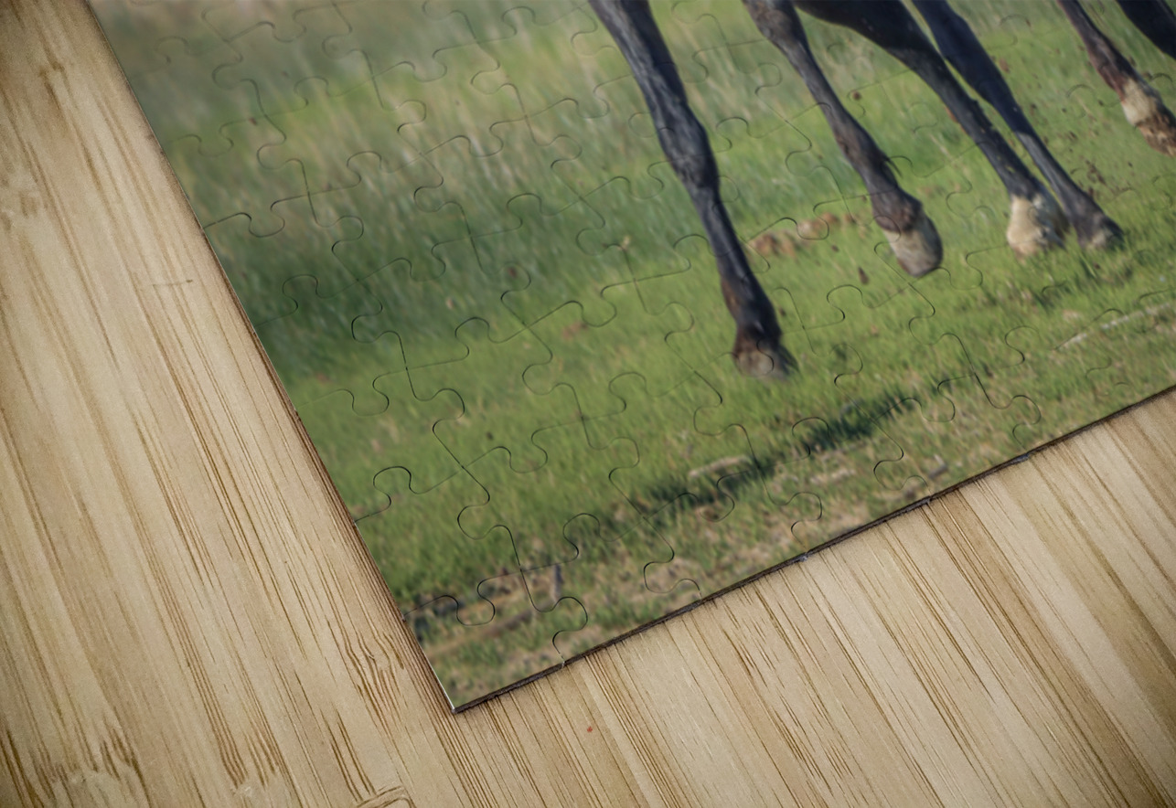 Nevada Virginia Range Series 18 ImagesbyMJRoss Puzzle