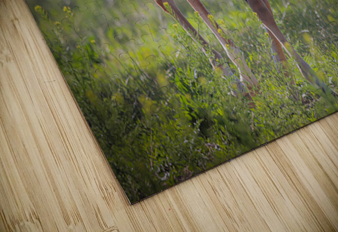 Nevada Virginia Range Series 30 ImagesbyMJRoss Puzzle