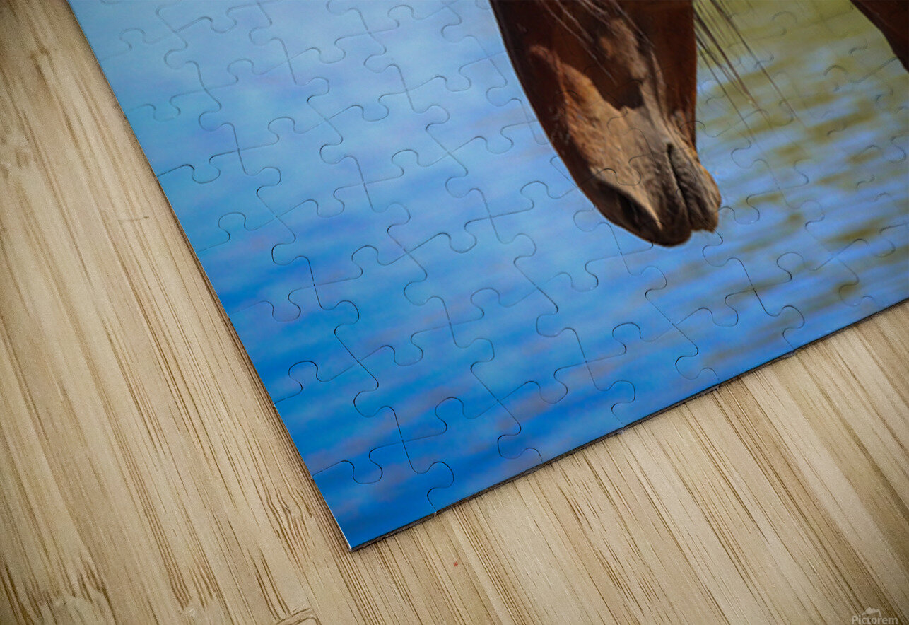 Nevada Virginia Range Series 36 ImagesbyMJRoss Puzzle