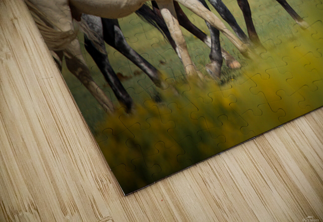 Mono Lake Wild Horse Series 1 ImagesbyMJRoss Puzzle