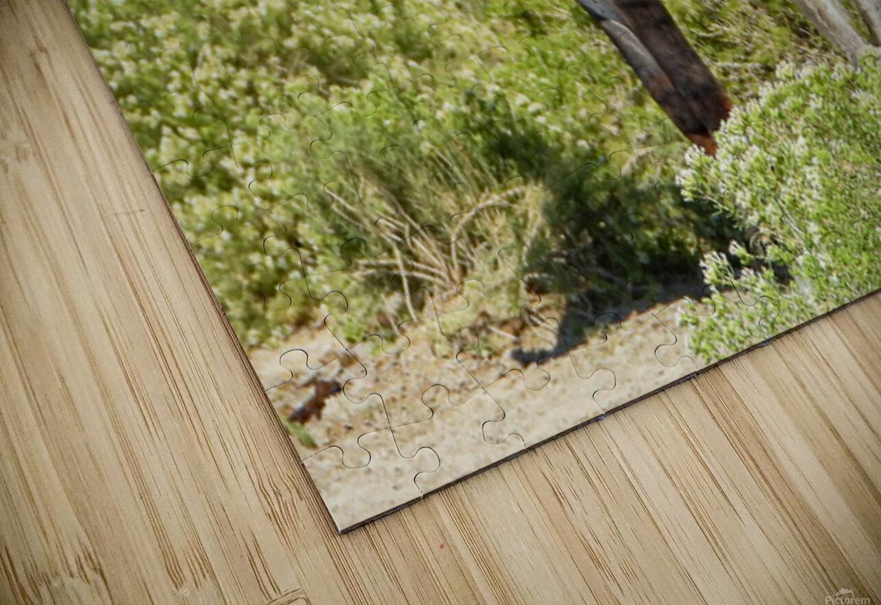 Marietta Wild Burro Range HMA 1 ImagesbyMJRoss Puzzle