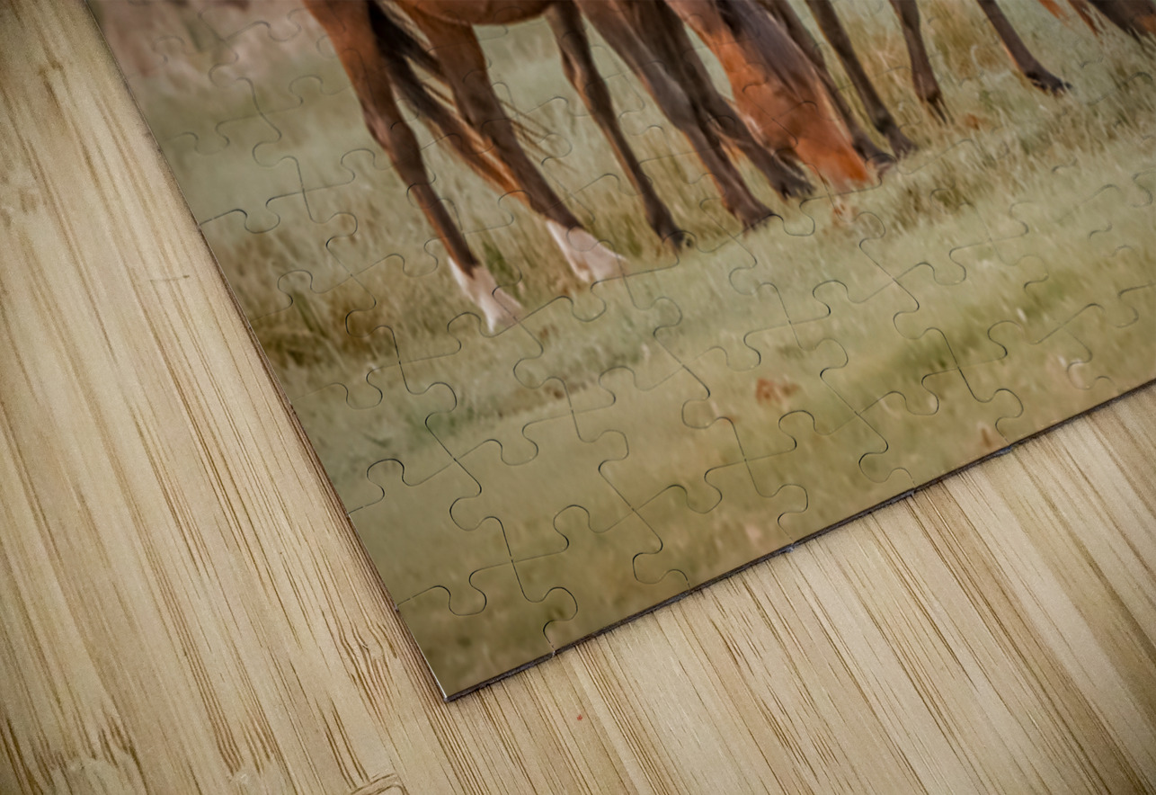 Nevada wild  Series VR1 1 ImagesbyMJRoss Puzzle