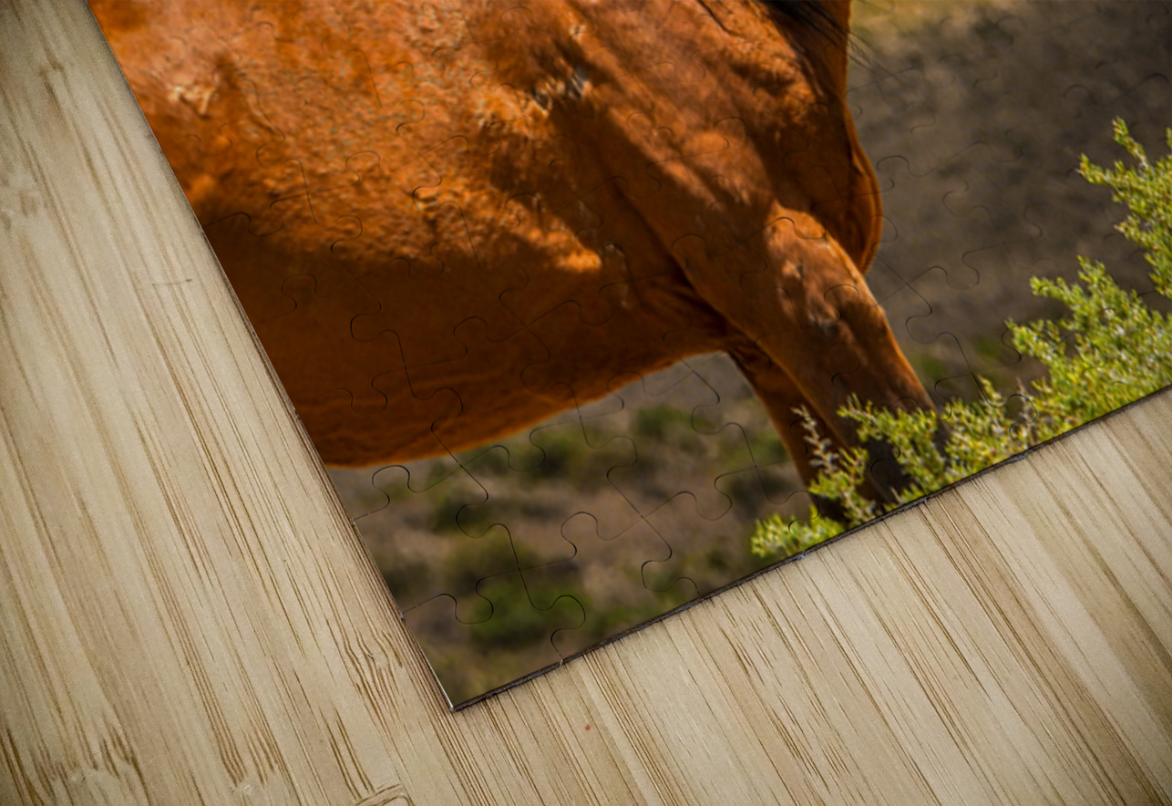 Nevada Mustang Series 16 1 ImagesbyMJRoss Puzzle