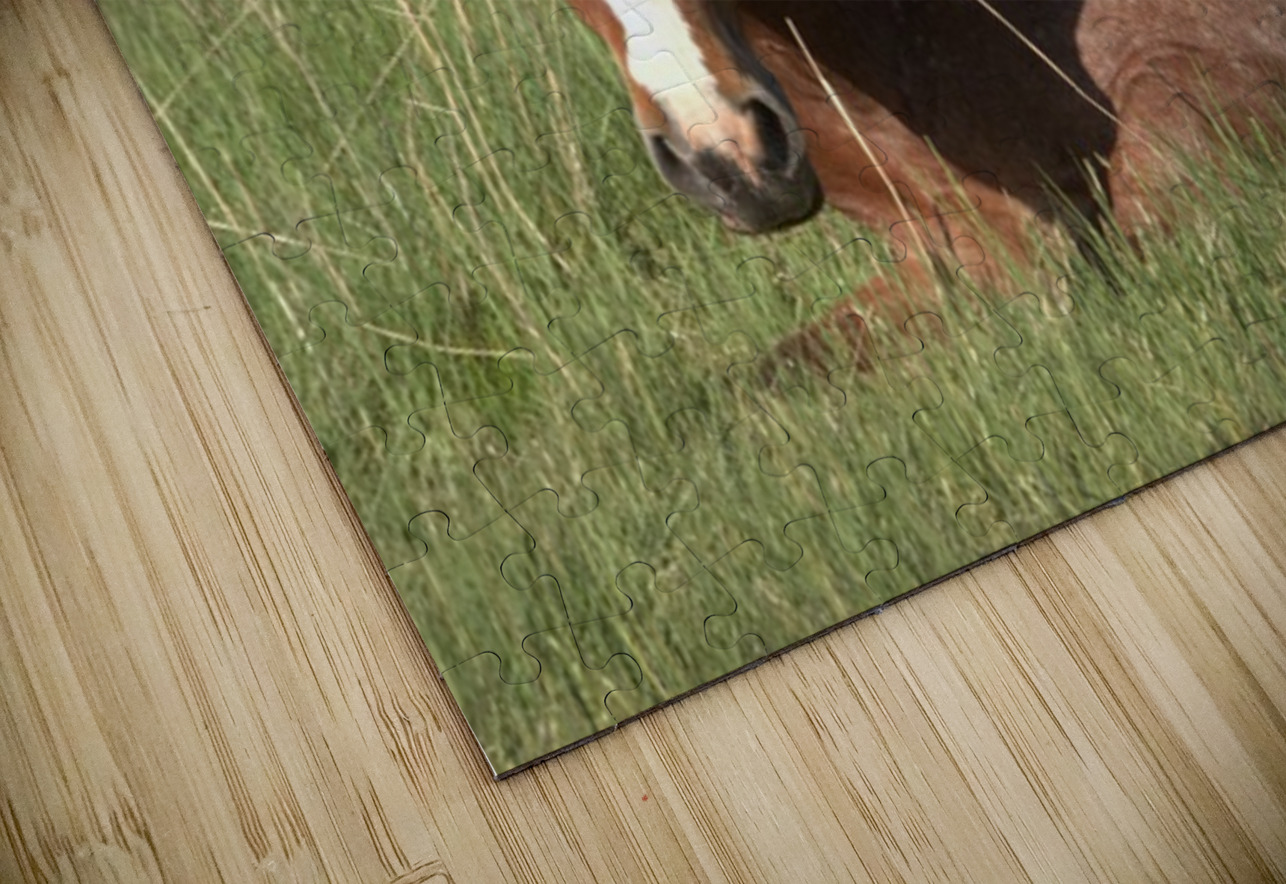 Nevada Wild 16 1 ImagesbyMJRoss Puzzle