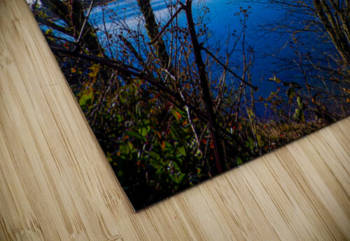 Oregon Coast 3 ImagesbyMJRoss puzzle