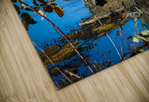 Oregon Coast 2 ImagesbyMJRoss puzzle