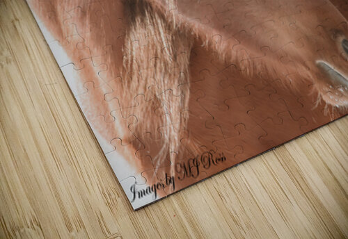 Wild Horse Winter  ImagesbyMJRoss puzzle