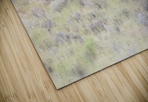 Wild Horse Nevada Series 8 ImagesbyMJRoss puzzle