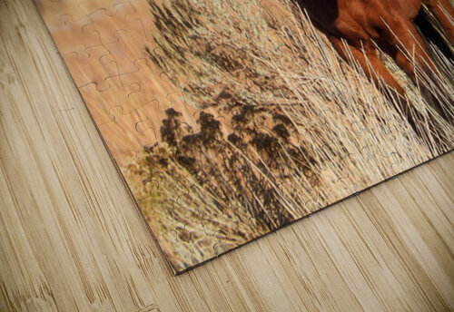 Wild Horse Nevada Series1 ImagesbyMJRoss puzzle