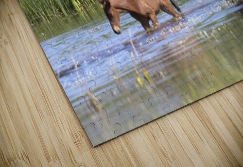 Wild Horse Nevada Series 6 ImagesbyMJRoss puzzle