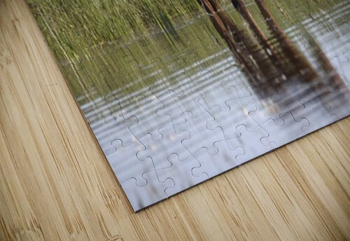 Wild Horse Nevada Series 7 ImagesbyMJRoss puzzle