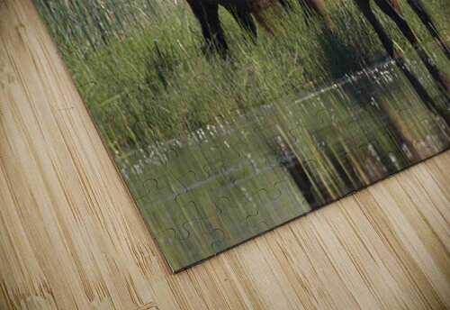 Wild Horse Nevada Series 9 ImagesbyMJRoss puzzle