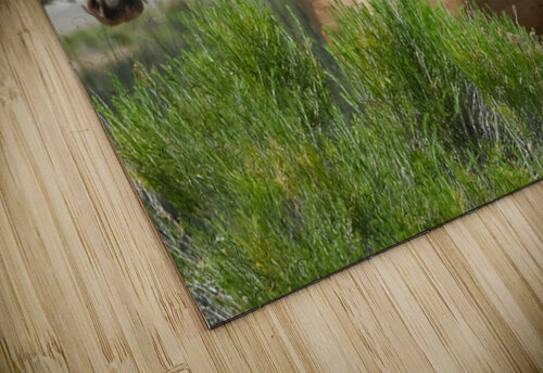 Wild Horse Nevada Series 10 ImagesbyMJRoss puzzle