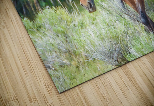 Wild Horse Nevada Series 11 ImagesbyMJRoss puzzle