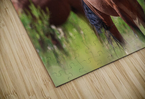 Nevada Virginia Range Series ImagesbyMJRoss puzzle