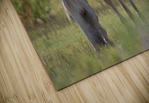 Nevada Virginia Range Series 2 ImagesbyMJRoss puzzle