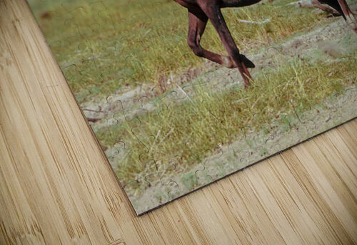 Nevada Virginia Range Series 3 ImagesbyMJRoss puzzle