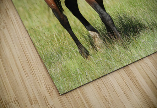 Nevada Virginia Range Series 4 ImagesbyMJRoss puzzle