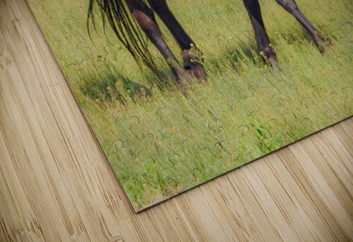 Nevada Virginia Range Series 6 ImagesbyMJRoss puzzle