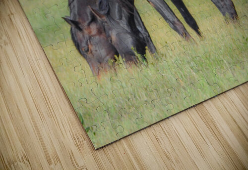 Nevada Virginia Range Series 7 ImagesbyMJRoss puzzle