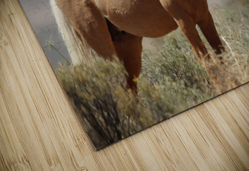 Nevada Virginia Range Series 9 ImagesbyMJRoss puzzle