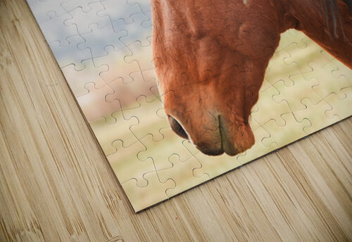 Nevada Virginia Range Series 10 ImagesbyMJRoss puzzle