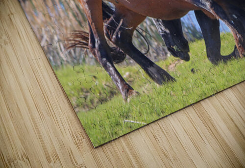 Nevada Virginia Range Series 13 ImagesbyMJRoss puzzle