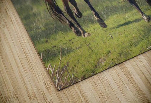 Nevada Virginia Range Series 14 ImagesbyMJRoss puzzle