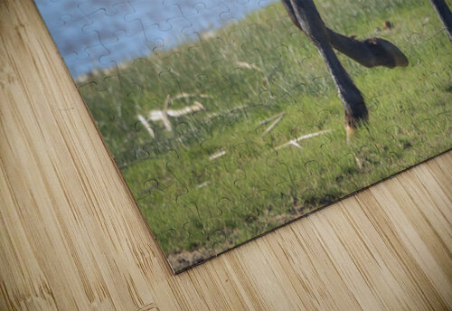 Nevada Virginia Range Series 15 ImagesbyMJRoss puzzle