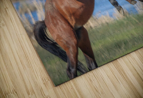 Nevada Virginia Range Series 16 ImagesbyMJRoss puzzle