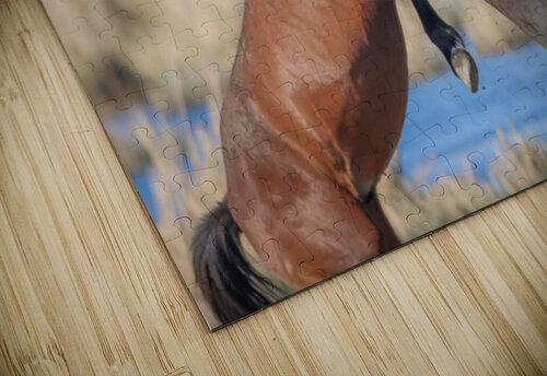 Nevada Virginia Range Series 17 ImagesbyMJRoss puzzle