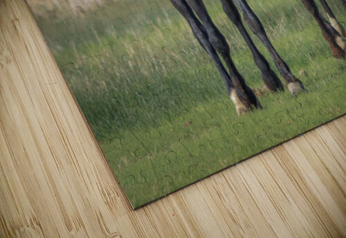 Nevada Virginia Range Series 19 ImagesbyMJRoss puzzle