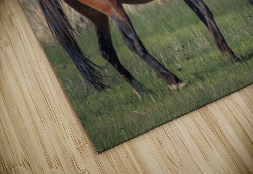 Nevada Virginia Range Series 20 ImagesbyMJRoss puzzle