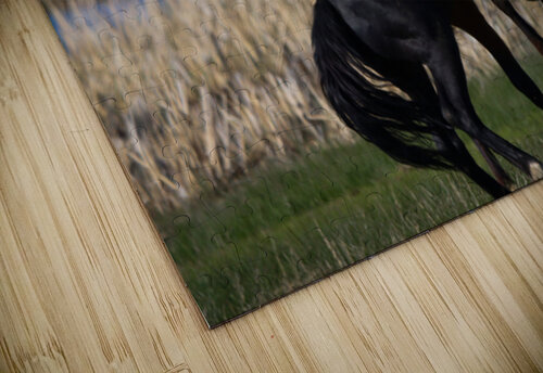 Nevada Virginia Range Series 21 ImagesbyMJRoss puzzle