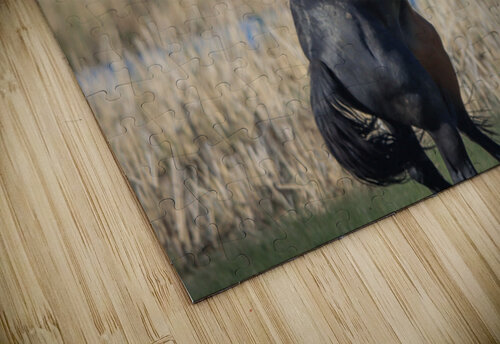 Nevada Virginia Range Series 23 ImagesbyMJRoss puzzle