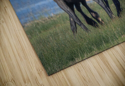 Nevada Virginia Range Series 25 ImagesbyMJRoss puzzle