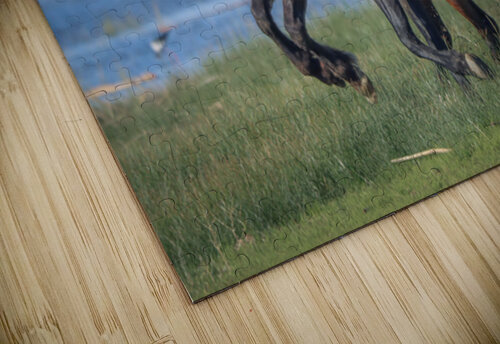 Nevada Virginia Range Series 26 ImagesbyMJRoss puzzle