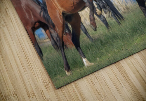 Nevada Virginia Range Series 27 ImagesbyMJRoss puzzle