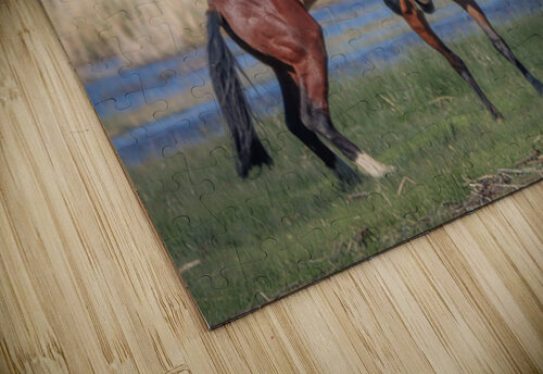 Nevada Virginia Range Series 28 ImagesbyMJRoss puzzle