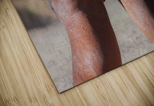 Nevada Virginia Range Series 32 ImagesbyMJRoss puzzle