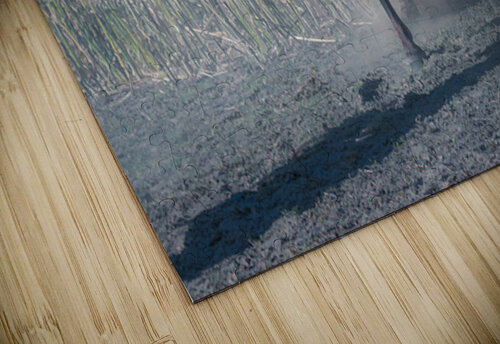 Nevada Virginia Range Series 33 ImagesbyMJRoss puzzle