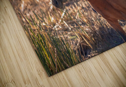 Nevada Virginia Range Series 34 ImagesbyMJRoss puzzle