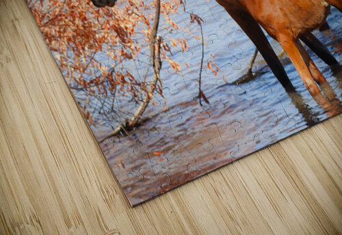 Nevada Virginia Range Series 35 ImagesbyMJRoss puzzle